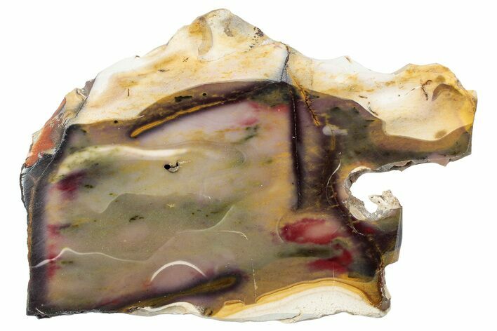Colorful, Polished Mookaite Jasper Slab - Australia #239652